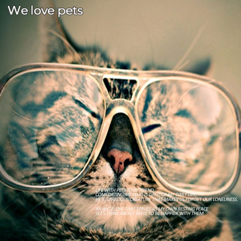 TMAKER, 티메이커 We love pets